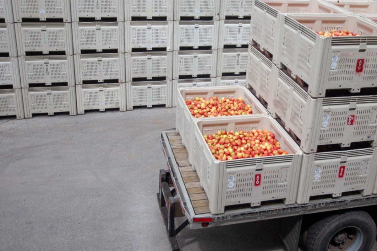 Honeycrisp apples the largest varietal in storage for the first time - Vimarsana News