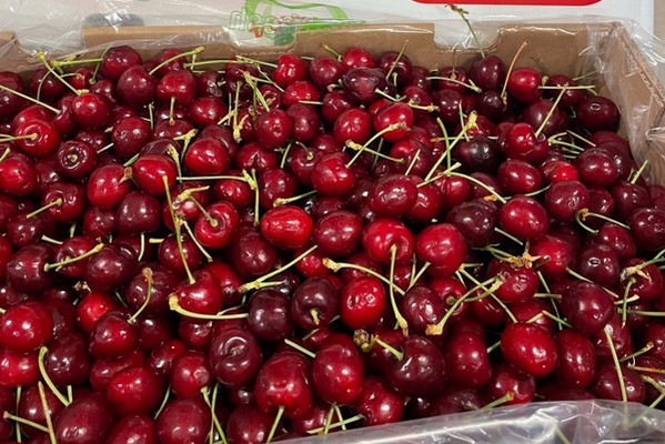 "We will be around 65% down on the early varieties, mid-season varieties may also be down" - Vimarsana News
