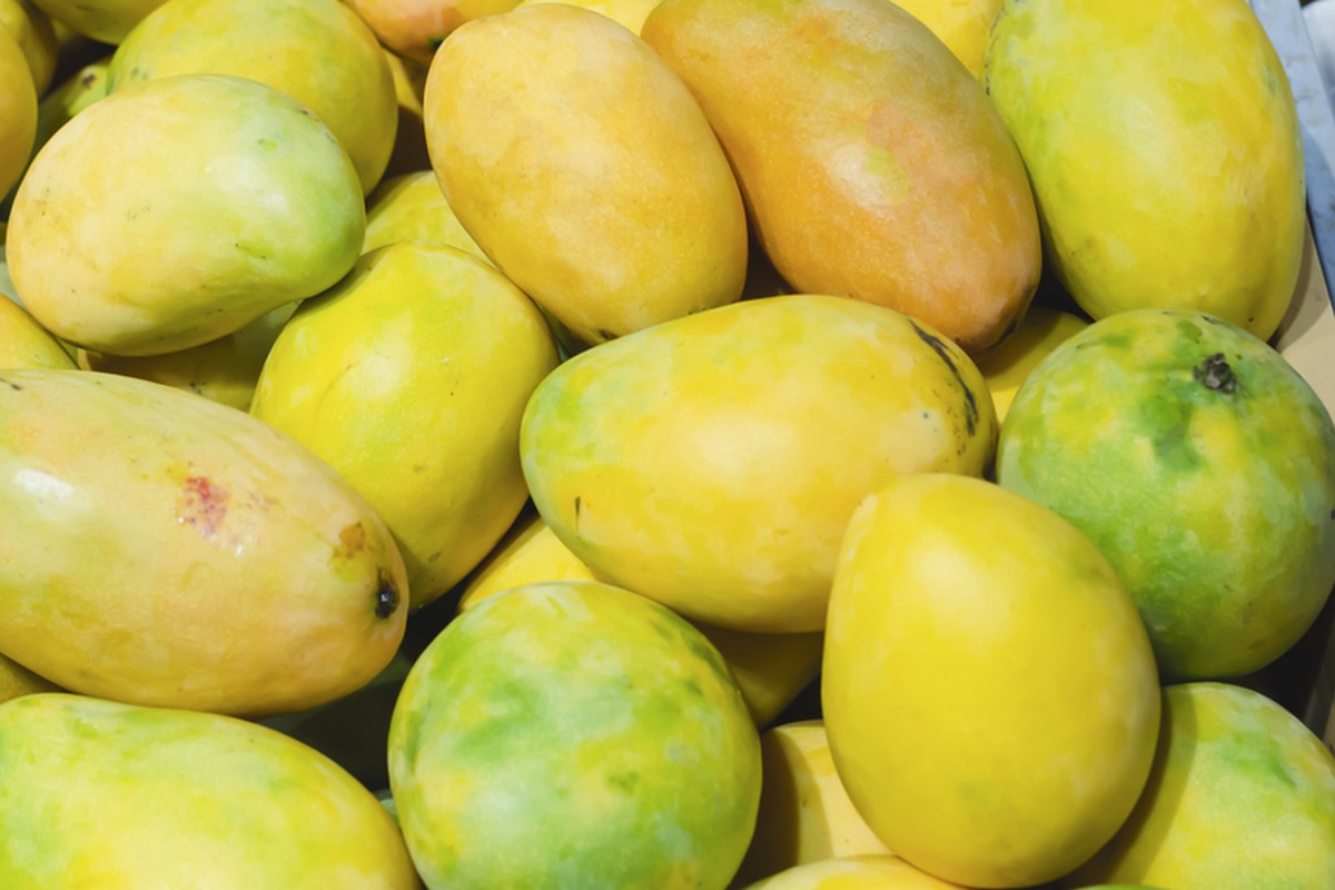 Brazilian agricultural exports: boom in fruit exports - Vimarsana News