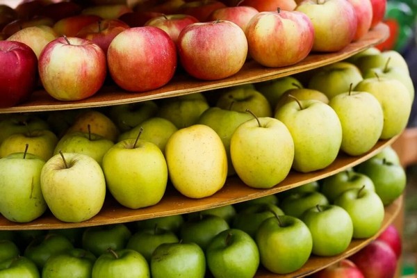 How Moldova's apple industry fares in MY 2023/24: review and outlook - Vimarsana News