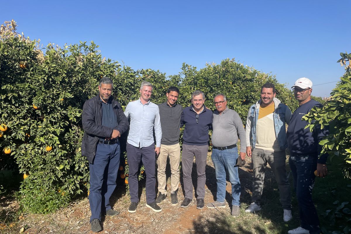 Visiting Moroccan citrus growers to strengthen partnerships - Vimarsana News