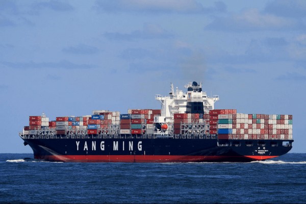 Carriers sought to up market share despite challenging 2023 - Vimarsana News