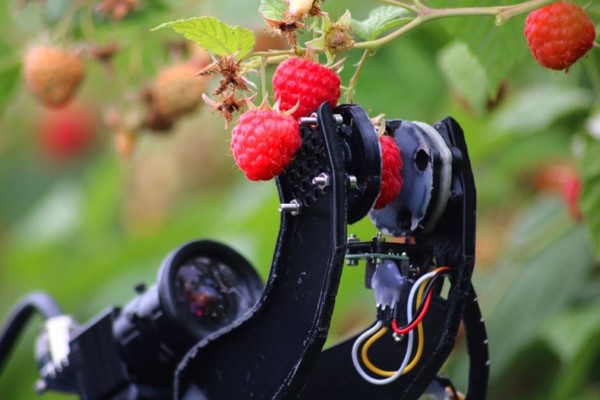 Fieldwork wins government grant to accelerate £1.1 mln BerryBot Project - Vimarsana News
