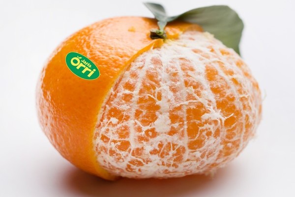 Orri Jaffa 2024 mandarin season has started with big demand in Europe - Vimarsana News