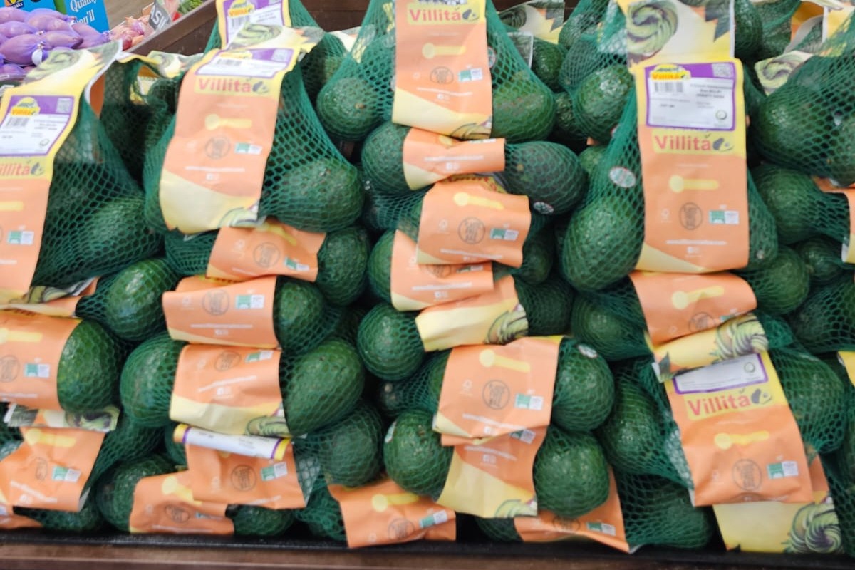 Avocado grower-shipper offers 100 percent plastic-free bags to U.S. retailers - Vimarsana News