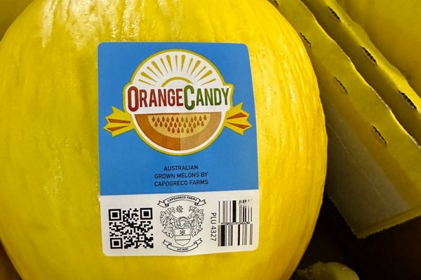"We are targeting all high-end value markets as this melon is consistently sweet with high quality" - Vimarsana News