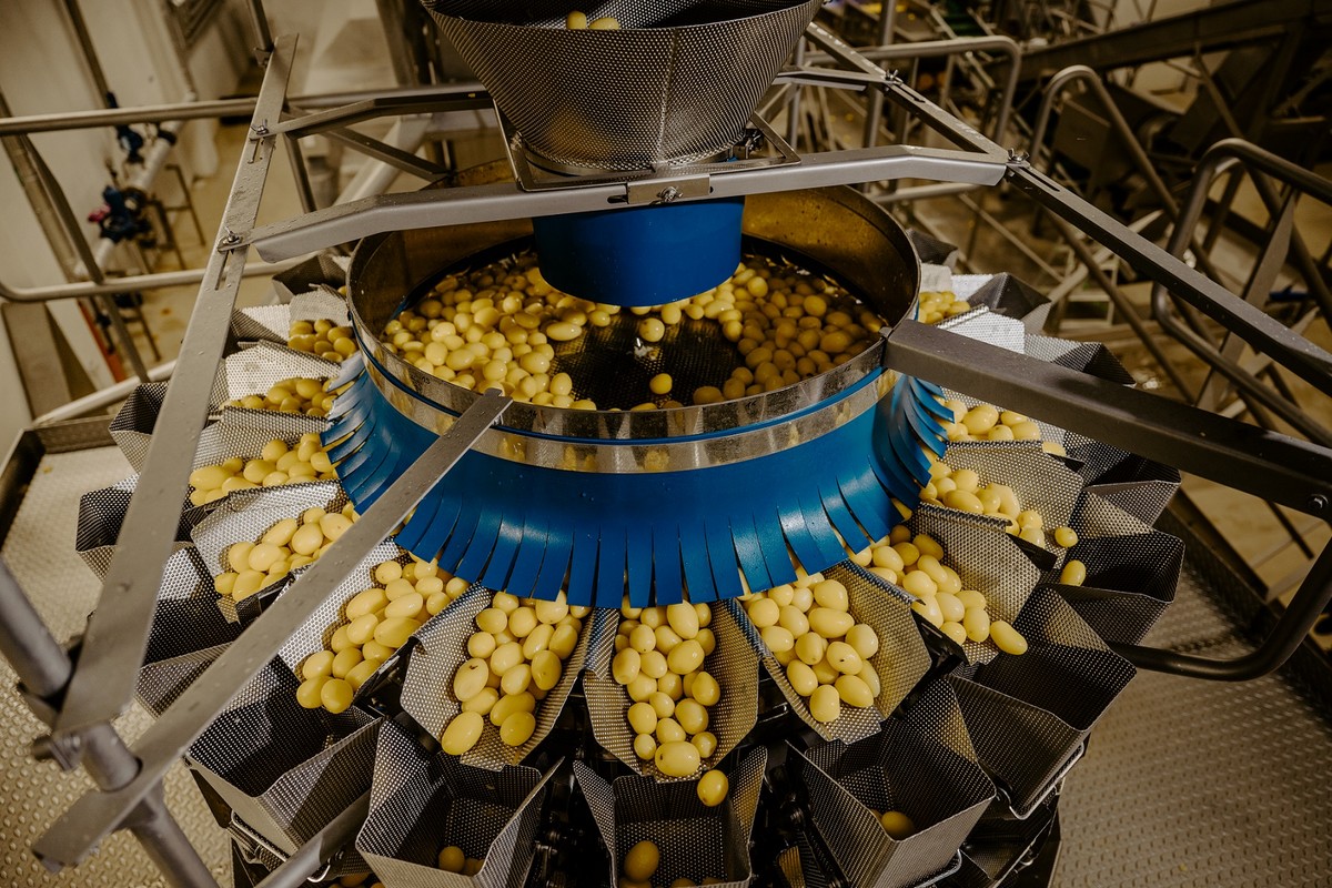 Weigher flexibility maximises Slovakian producer's packing potential for various prepared potatoes - Vimarsana News