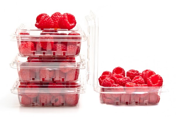 New alliance targets harmonized regulation for sustainable food packaging - Vimarsana News
