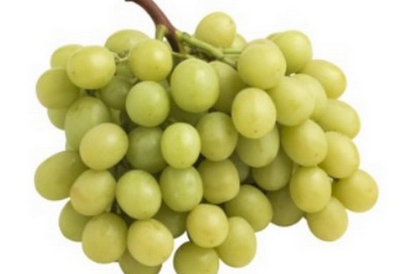 Autumncrisp® grapes exclusive sampling to take place at Las Vegas show - Vimarsana News