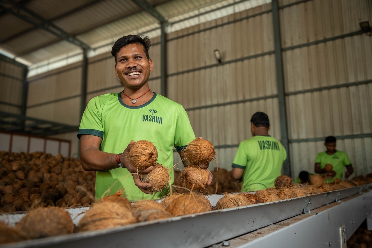 New program brings brown South Indian coconuts - Vimarsana News