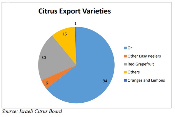 Israel's planted citrus area in MY 2023/24 forecast to be same as MY 2022/23 - Vimarsana News