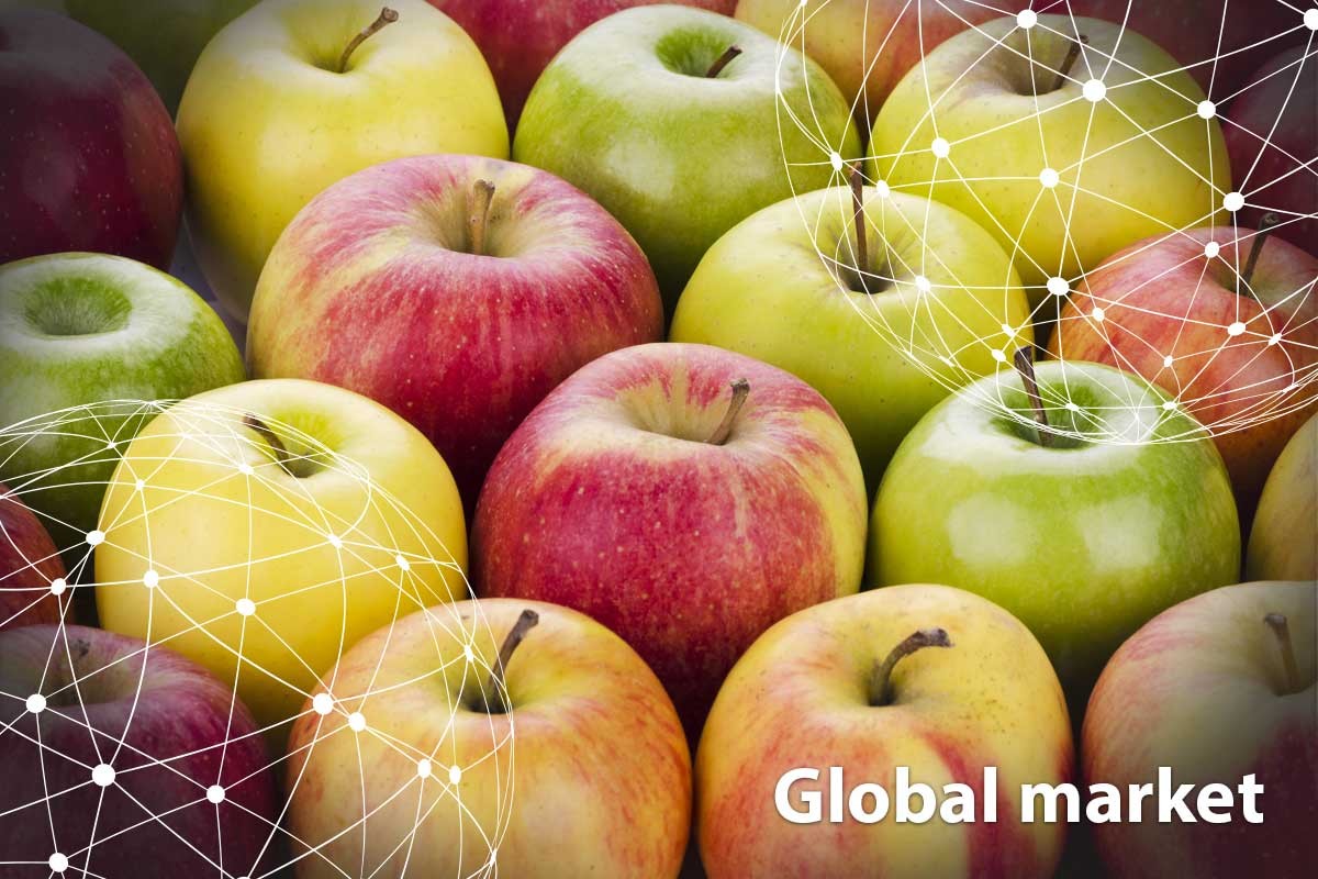 GLOBAL MARKET OVERVIEW APPLES - Vimarsana News