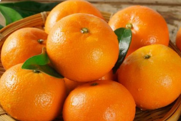 Guangxi Mingming Orchard Group exports orah mandarins to Canada - Vimarsana News