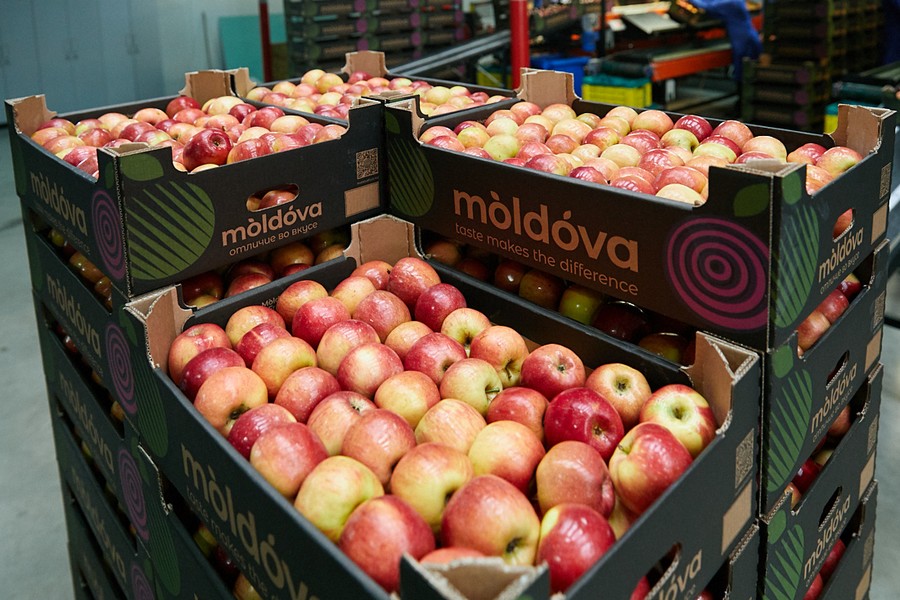 140.000 tons of Moldovan apples ready to be exported to new markets - Vimarsana News