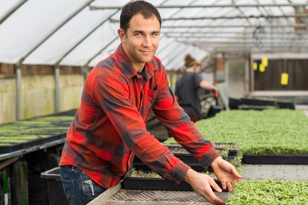 Microgreens gaining ground at retail - Vimarsana News