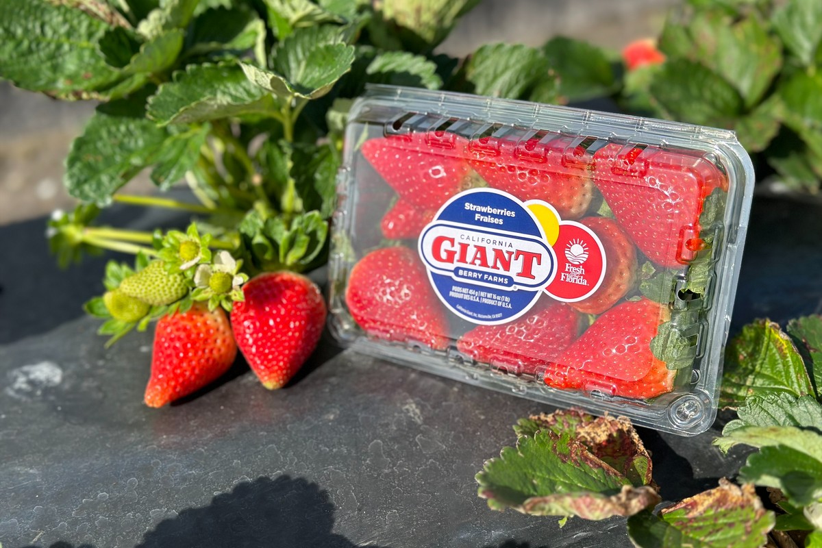 Strong volumes of conventional and organic strawberries ahead - Vimarsana News