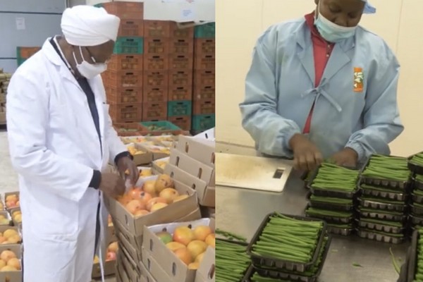 Kenyan fruit and vegetable company rises to success under Dr Mwangi - Vimarsana News