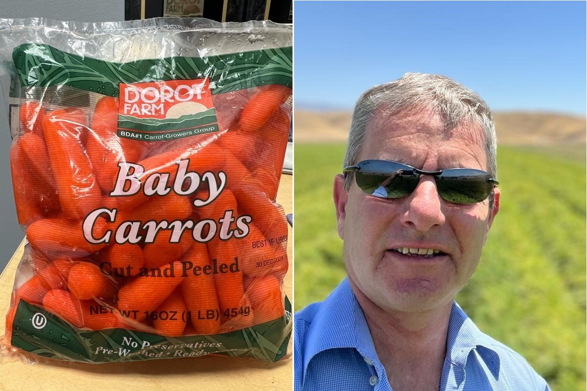 Carrot shipper launches baby carrot program - Vimarsana News