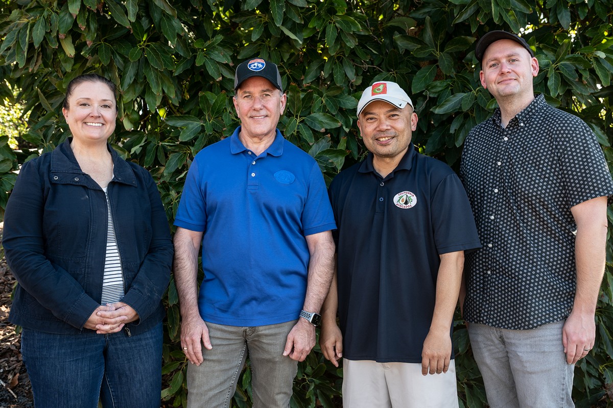 California avocado crop forecast - Vimarsana News