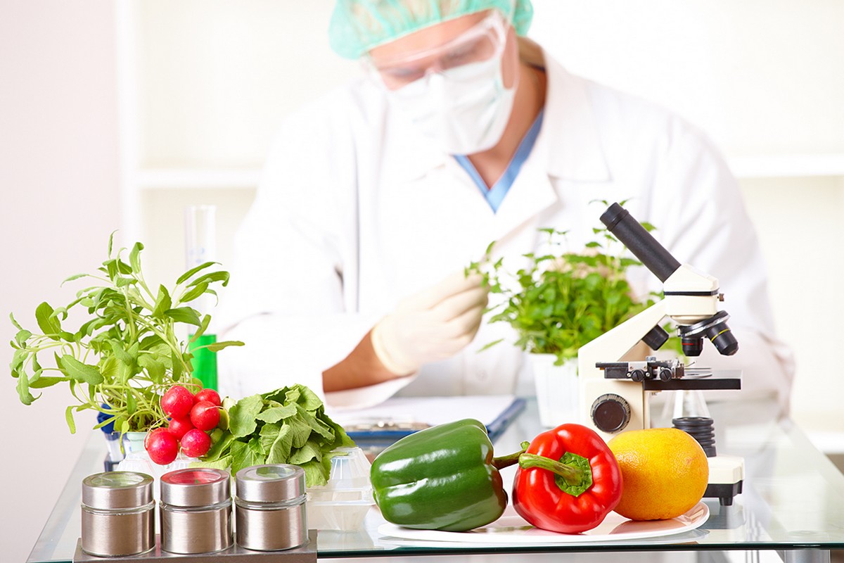 Discover how the Netherlands works on sustainable, healthy and safe food? - Vimarsana News