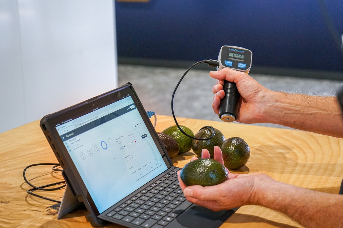 Avocado ripeness testing method launched for markets in Europe, Middle East, and Africa - Vimarsana News