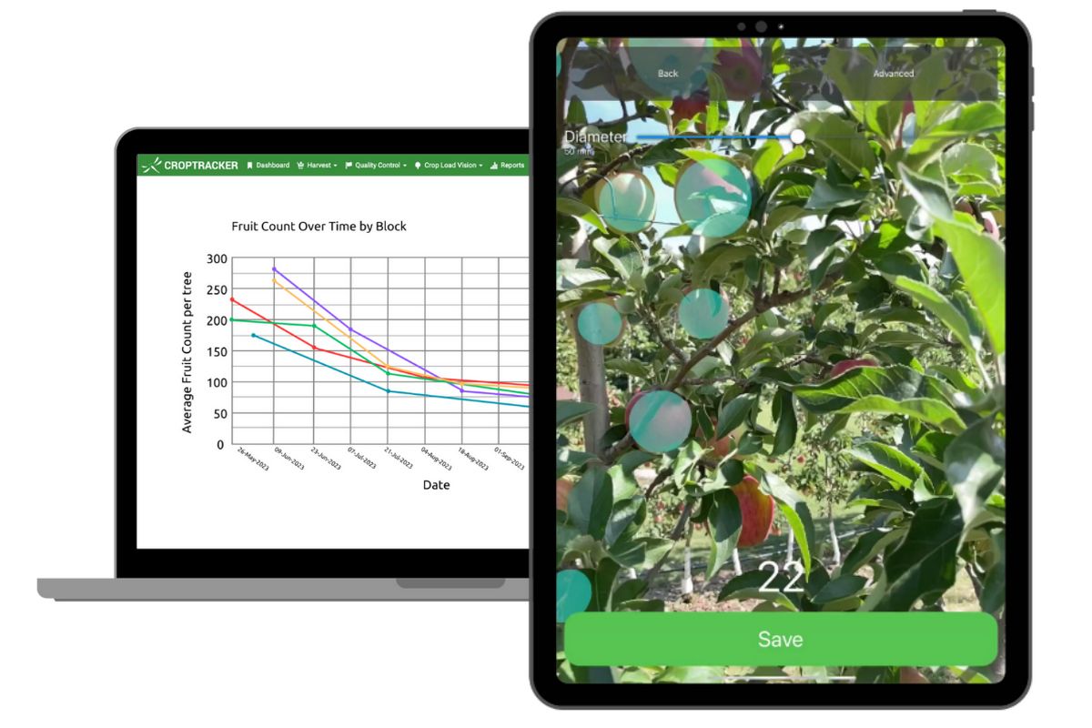 New software system helps identify the preferred size fruit - Vimarsana News