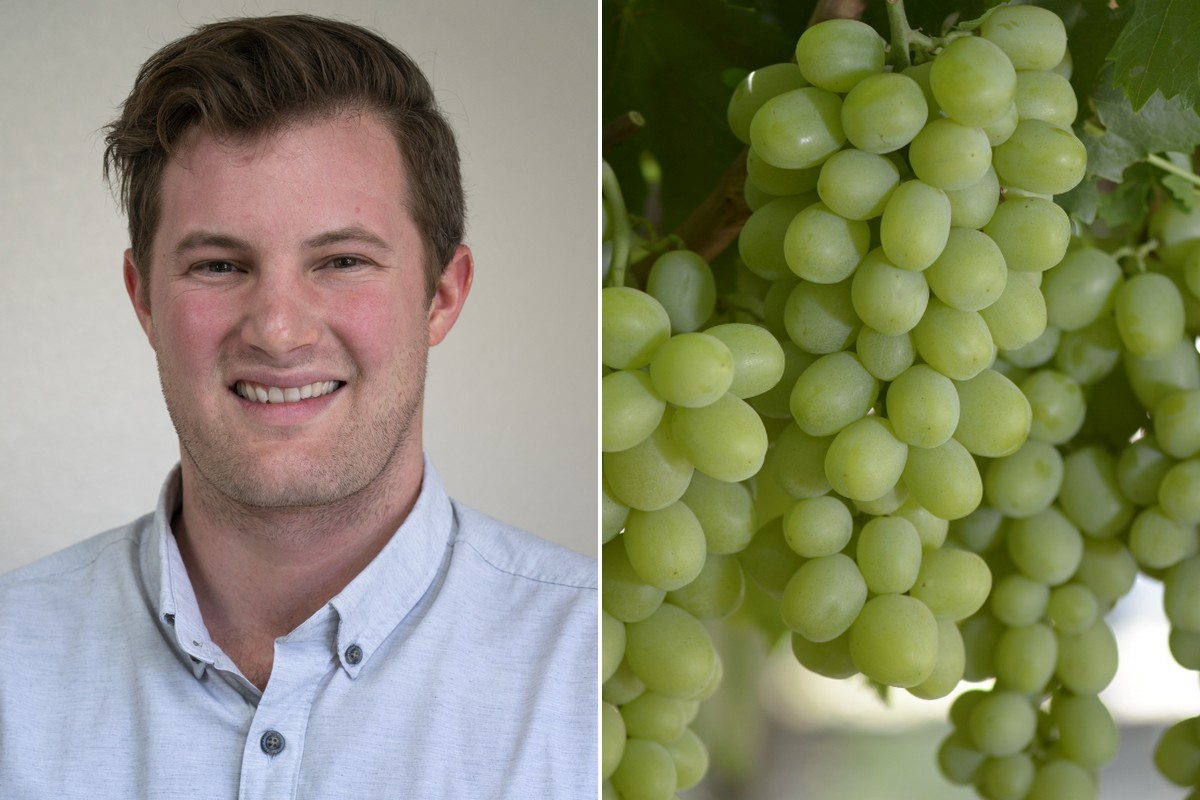 Grape Commission names director of content development - Vimarsana News