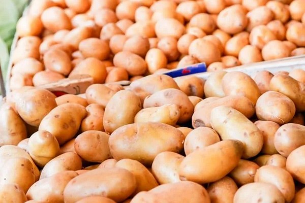 Namibian Agronomic Board urges farmers to increase potato production - Vimarsana News