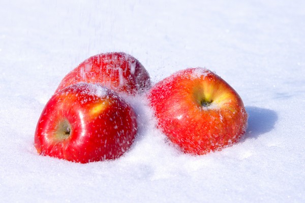 Unseasonal snowfall in Uttarakhand brings relief to apple growers - Vimarsana News