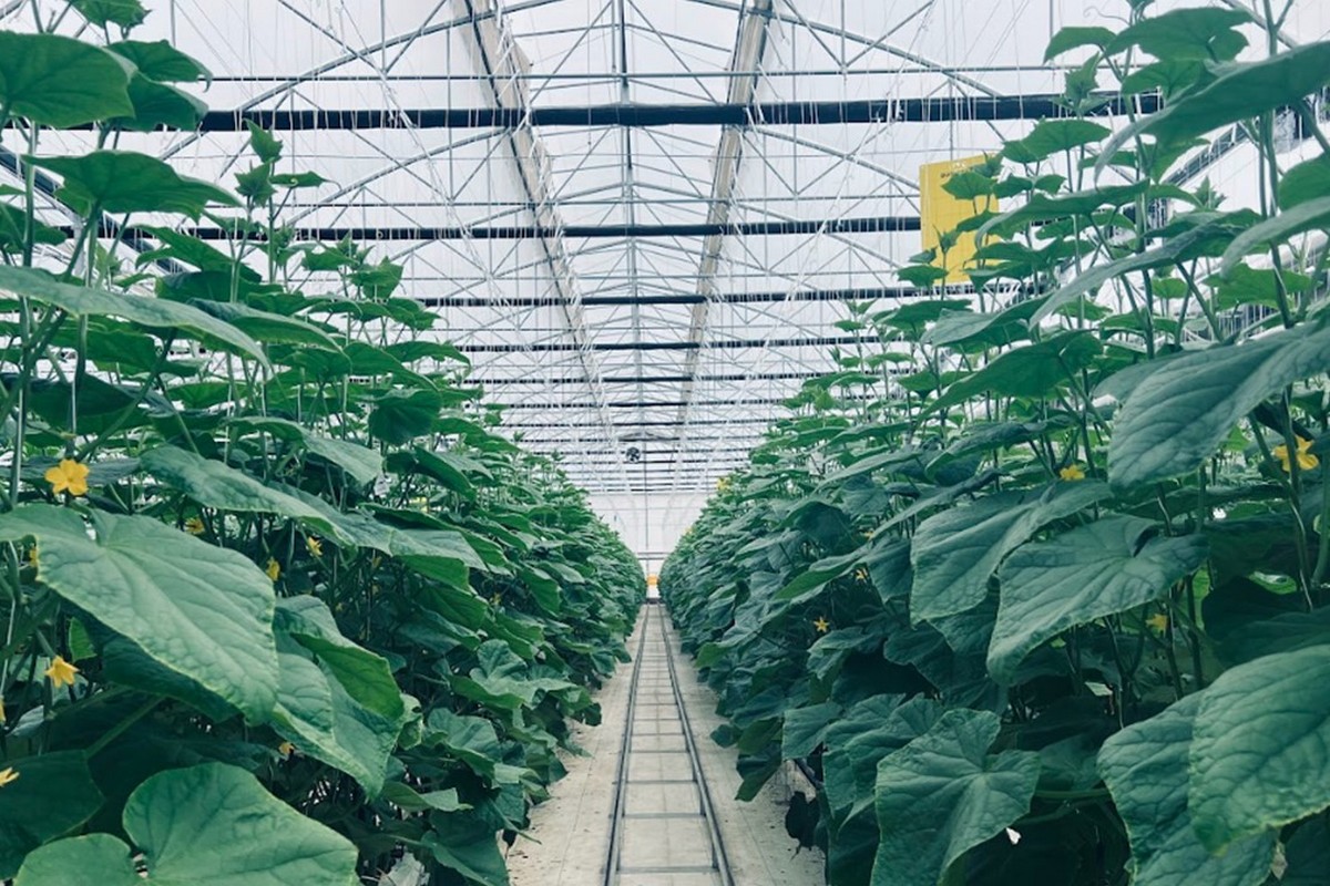 Ag tech firm raises $38 million in Series D financing - Vimarsana News