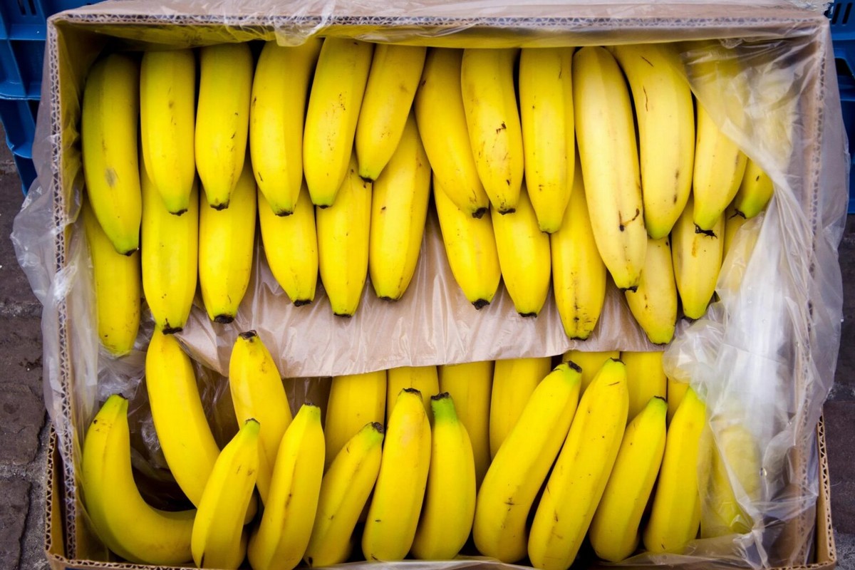 'Russia is trying to block its citizens from consuming bananas' - Vimarsana News
