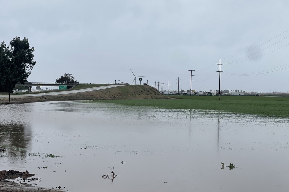 California storm delays harvesting and could cause future supply gap - Vimarsana News