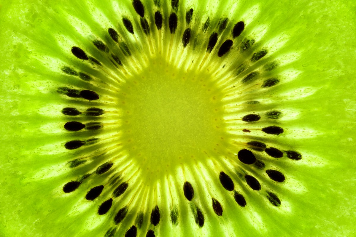 New Zealand's organic kiwifruit sector sees growth and potential - Vimarsana News