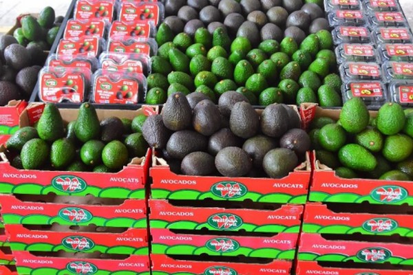 Westfalia Fruit caps off a year of growth in Asia - Vimarsana News