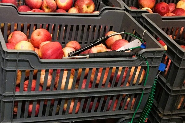 UK company tests new technology and AI to reduce amount of energy needed to store apples - Vimarsana News