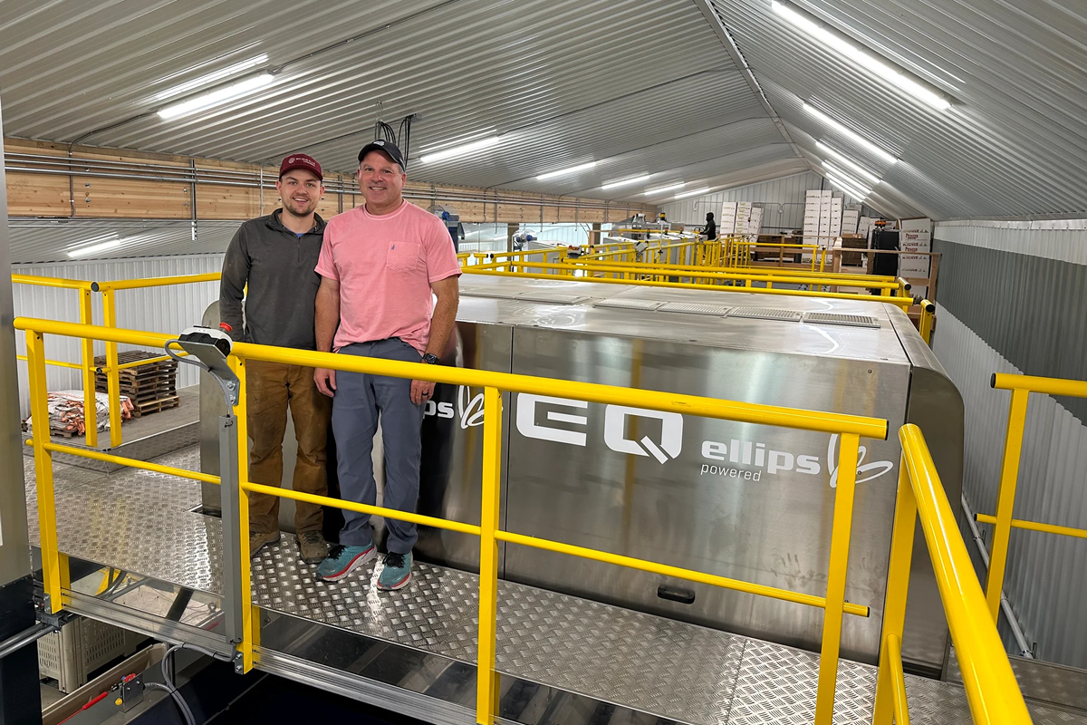 Smaller-scale grower achieves big results with grading technology - Vimarsana News