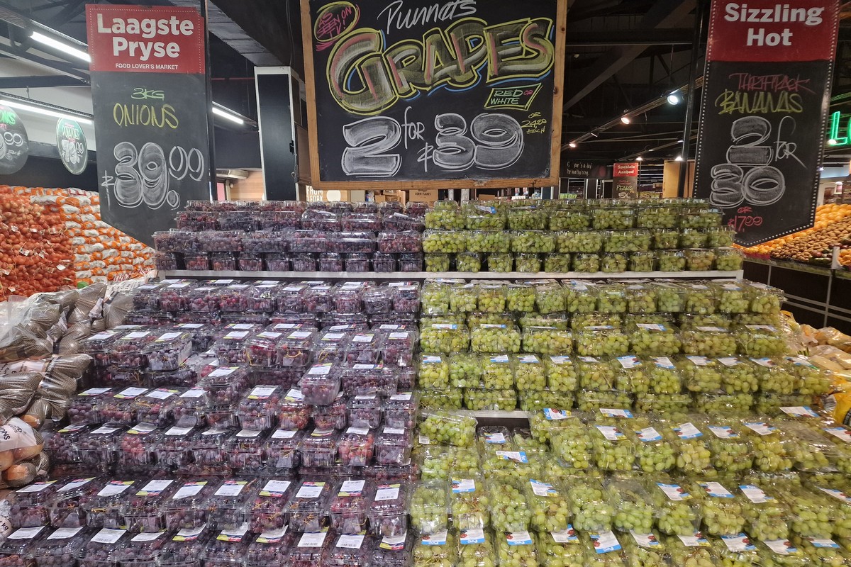 South Africa's 2023-24 table grape harvest expected to finish a week earlier than last year - Vimarsana News