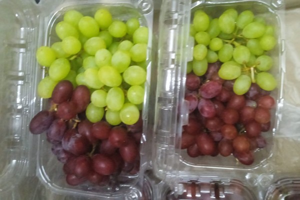 "Sales of grapes in domestic market have suddenly picked up" - Vimarsana News