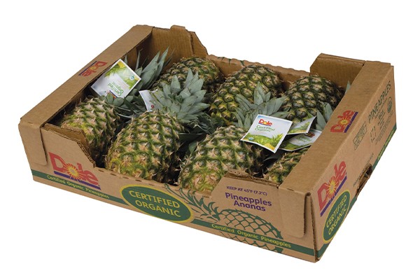 Dole Organic Fair Trade Certified Pineapples selected as a Good Housekeeping's 2024 Sustainable Innovation Awards Winner - Vimarsana News