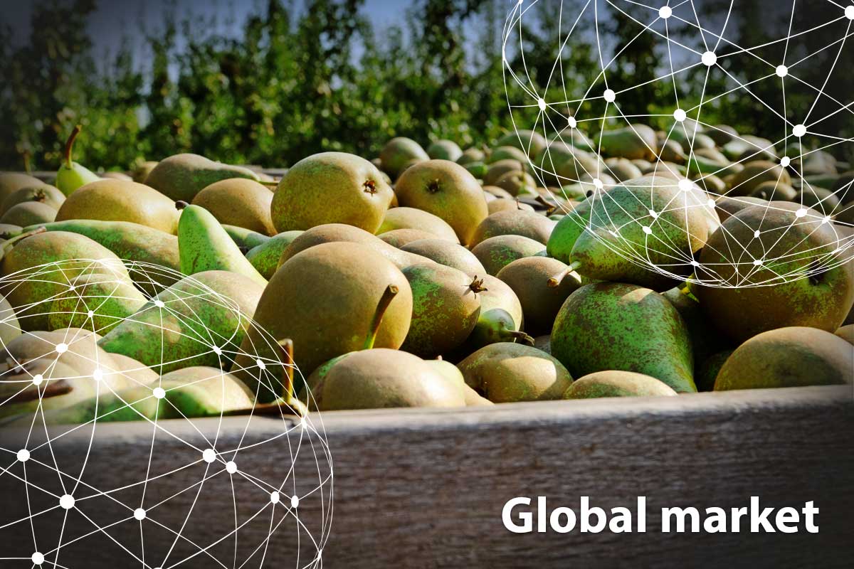 GLOBAL MARKET OVERVIEW PEARS - Vimarsana News