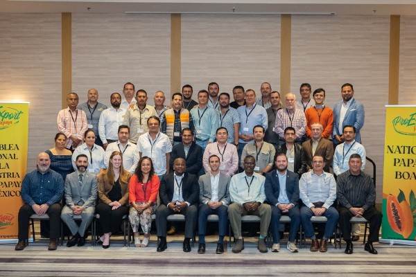 Mexican papaya industry meet to improve papaya safety practices - Vimarsana News