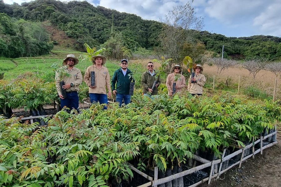 Westfalia Fruit helping with unique reforestation project in Colombia - Vimarsana News