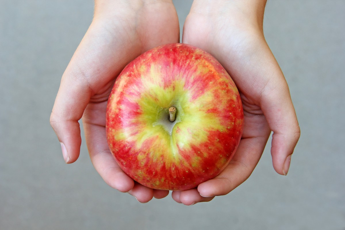 Honeycrisp apple prices dip as supply exceeds demand in the US - Vimarsana News