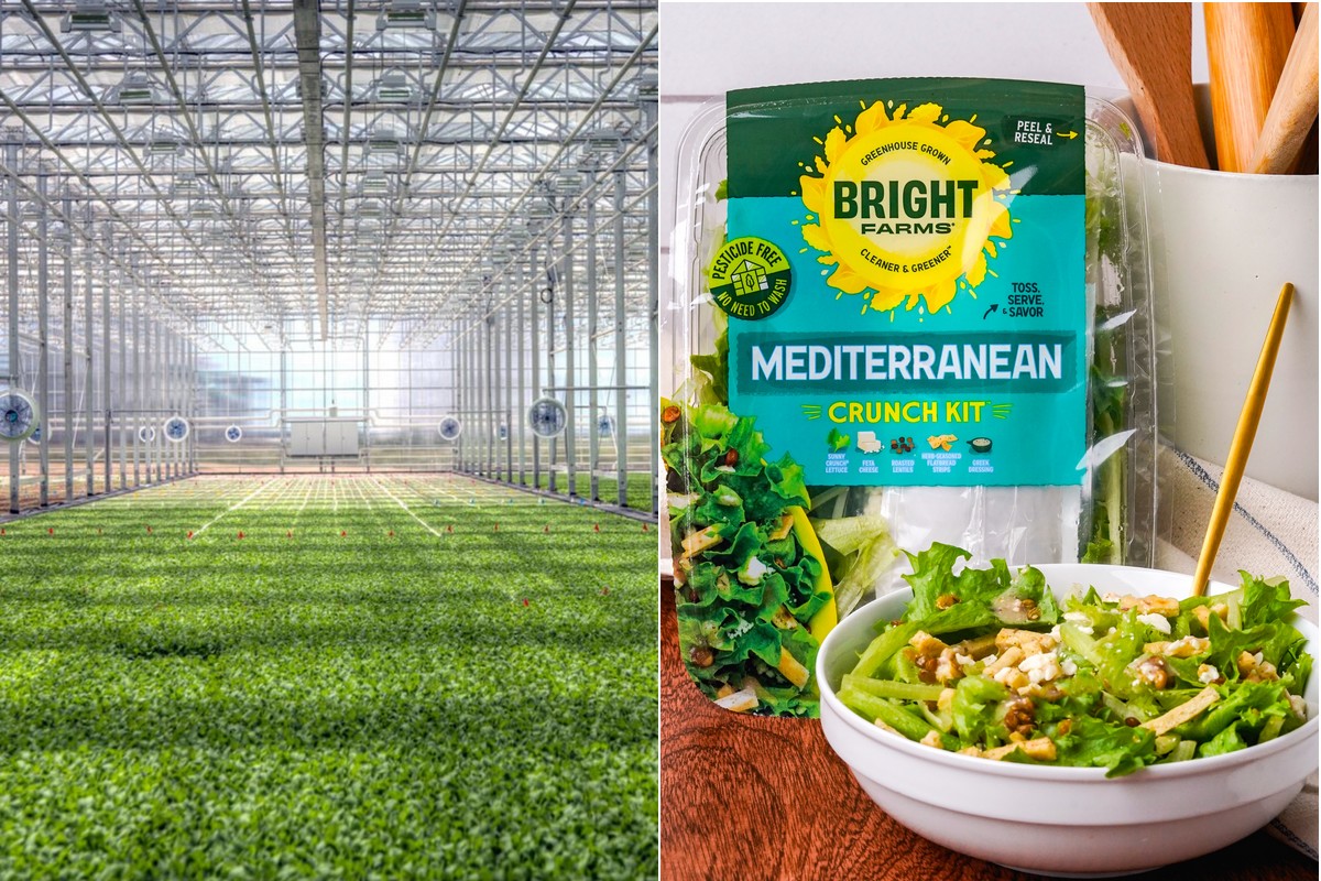 Greenhouse grower plans to open three new facilities - Vimarsana News