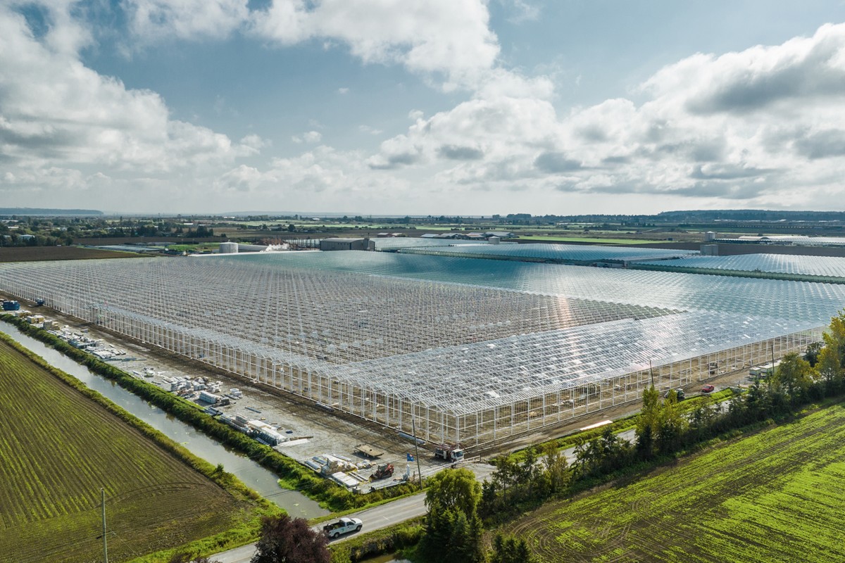 "Sustainable 24-acre greenhouse expansion in Delta, British Columbia" - Vimarsana News