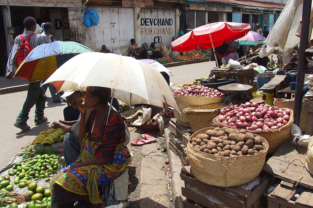 Kenya's onion supply chain faces disruption - Vimarsana News
