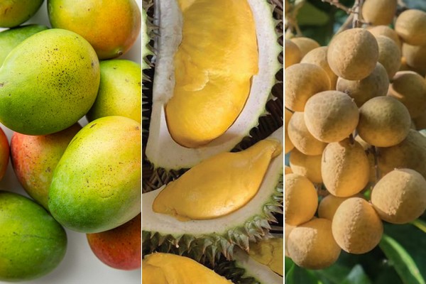 An Giang Province to develop specialised fruit growing areas - Vimarsana News