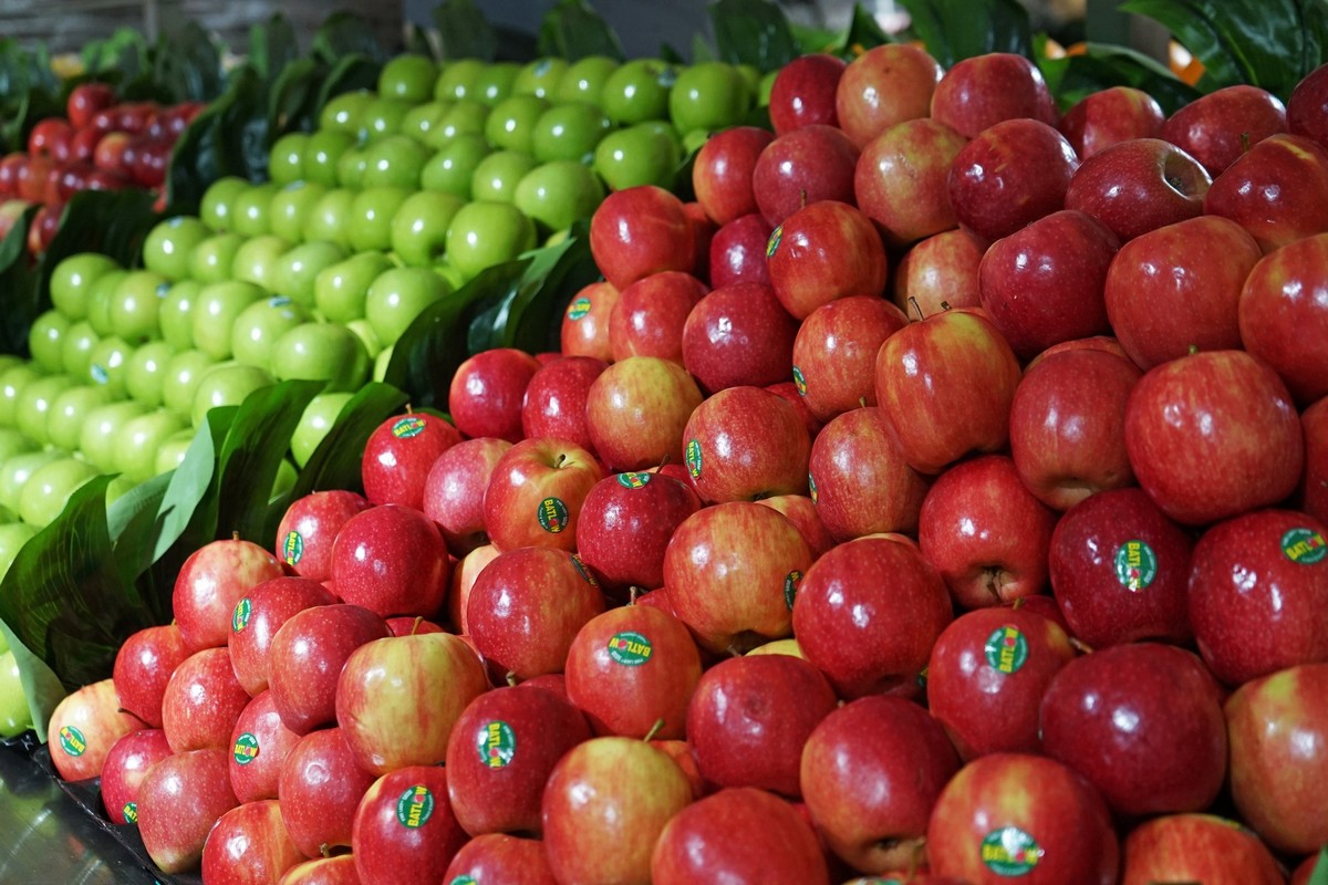 IFPA A-NZ calls for national approach to fruit sticker ban - Vimarsana News