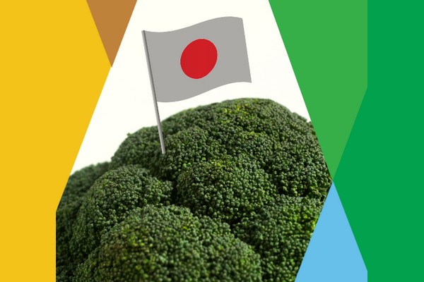 Japanese Ministry of Agriculture grants new approval for broccoli solutions - Vimarsana News
