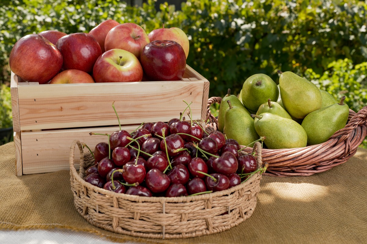 Washington apple movement gaining ground - Vimarsana News